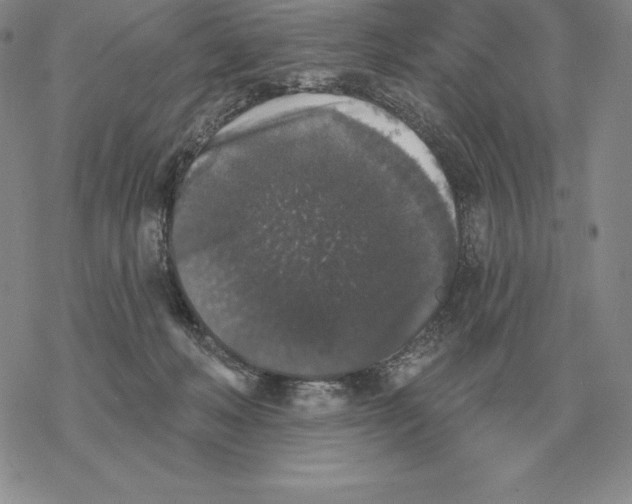 X0000069380222200606091659