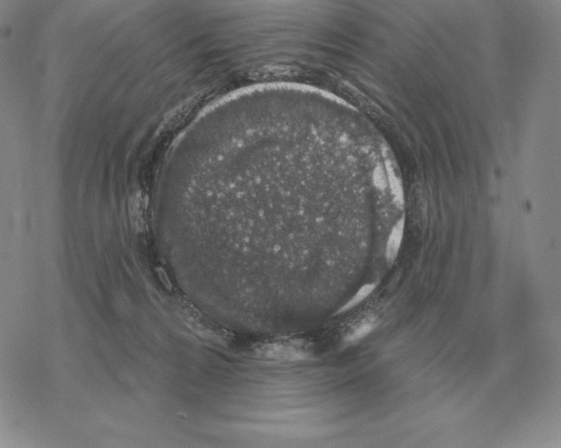 X0000069380224200606091659