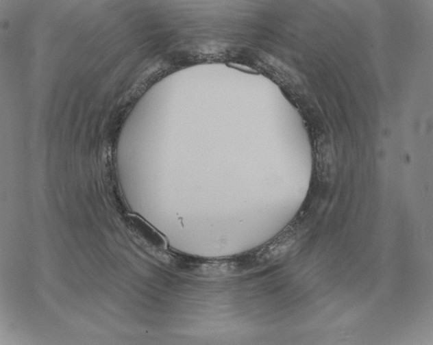 X0000069380225200606091659