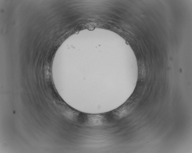 X0000069380226200606091659