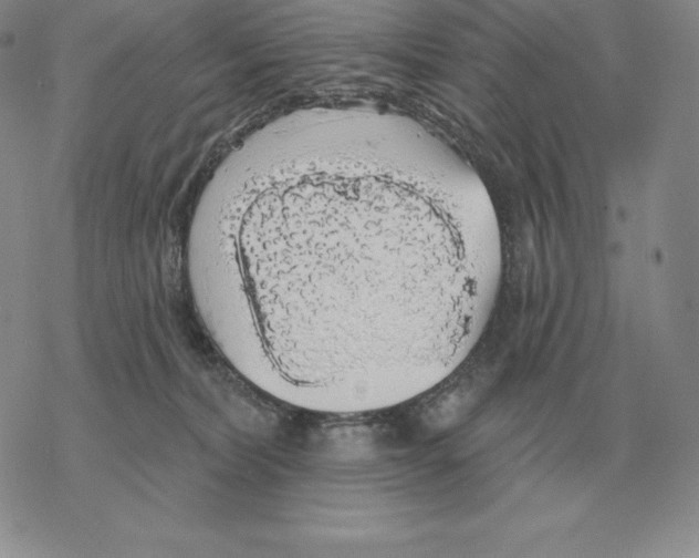 X0000069380228200606091659