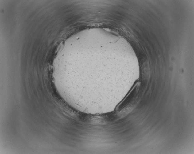 X0000069380229200606091659