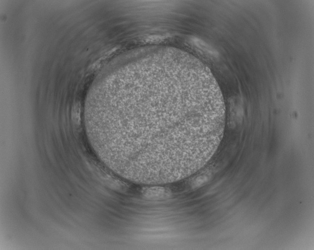 X0000069380230200606091659