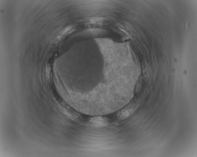 X0000069380231200606091659