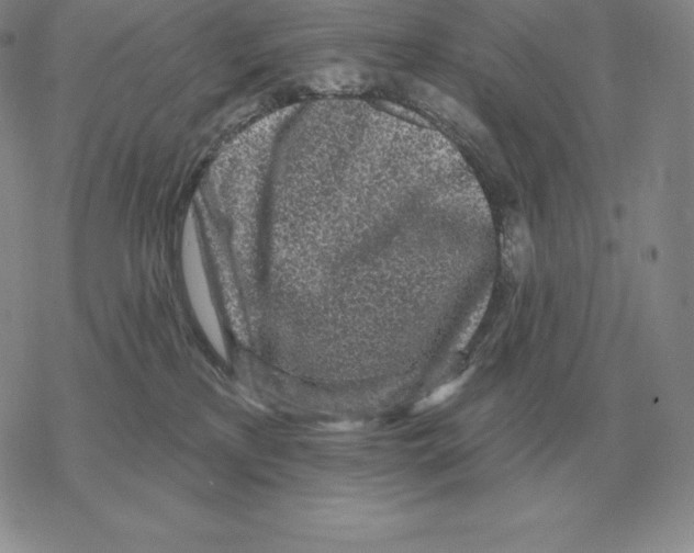 X0000069380233200606091659