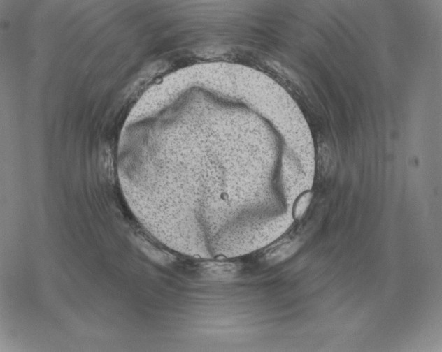 X0000069380234200606091659