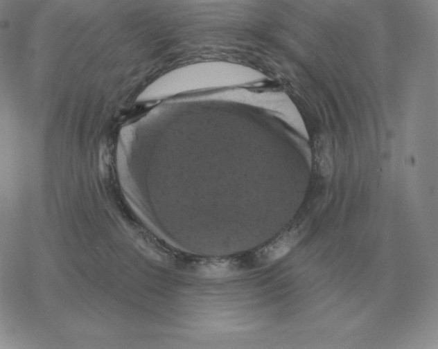 X0000069380235200606091659