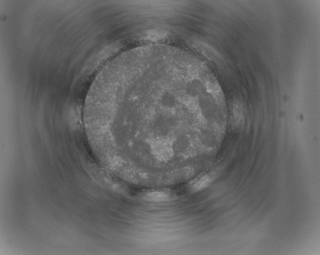 X0000069380236200606091659