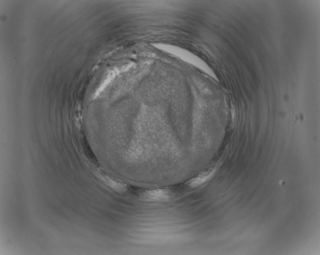 X0000069380237200606091659