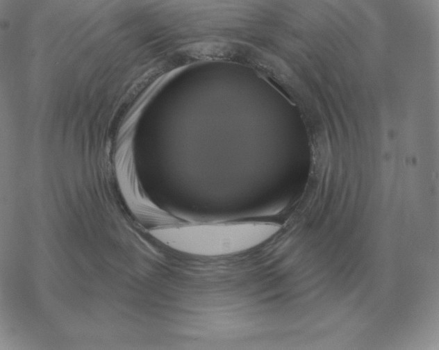 X0000069380239200606091659