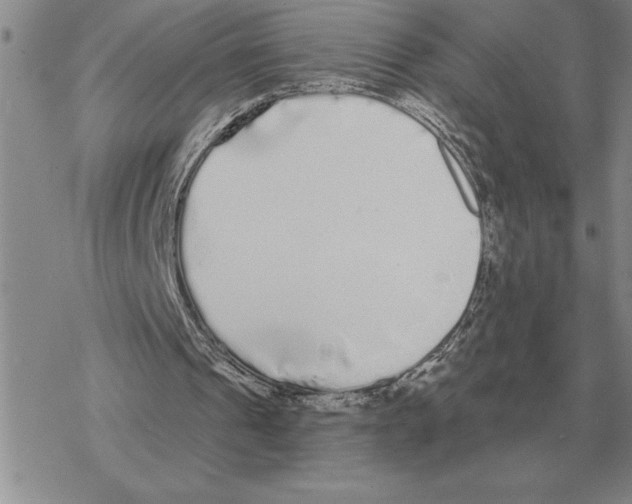 X0000069380241200606091658