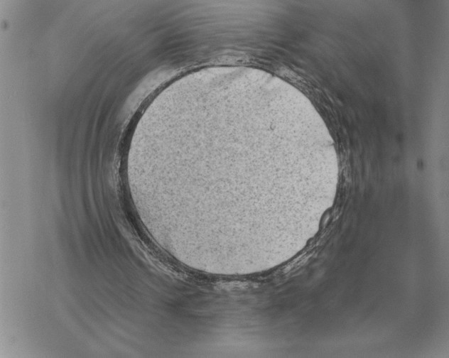 X0000069380242200606091658