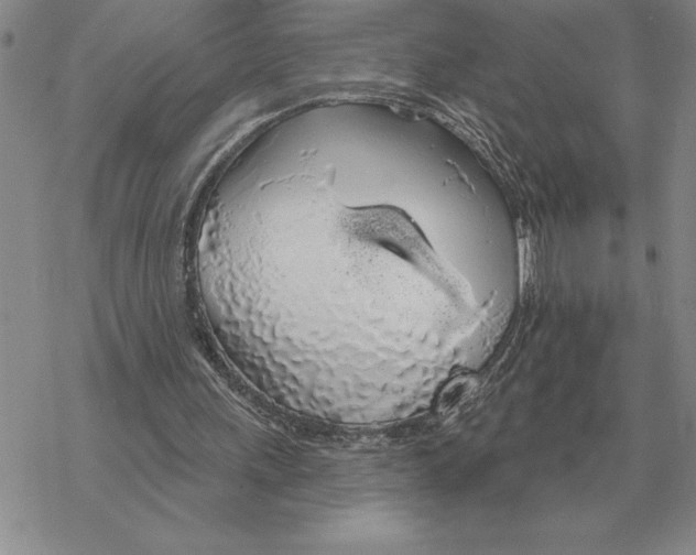 X0000069380243200606091658