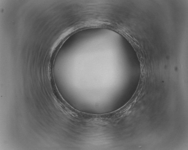 X0000069380244200606091658