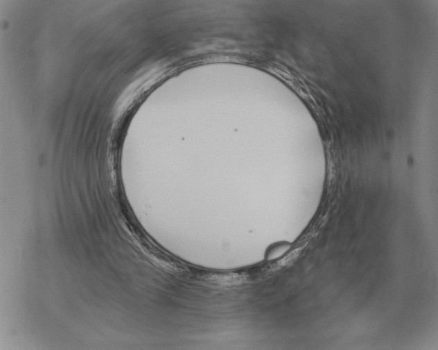 X0000069380245200606091658