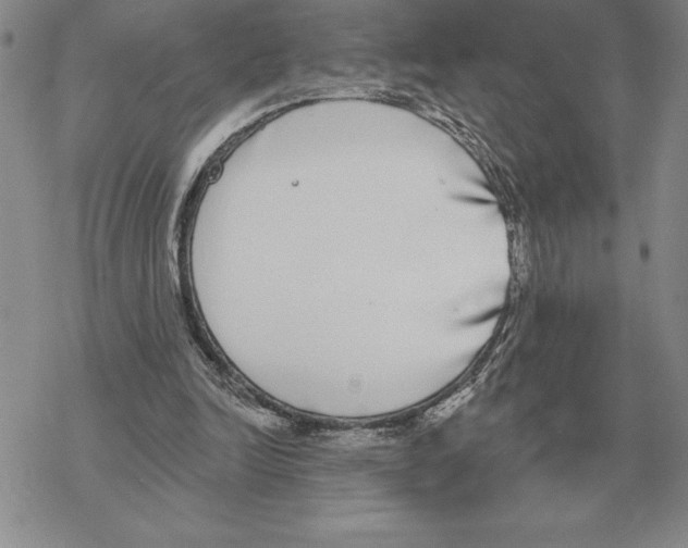 X0000069380246200606091658