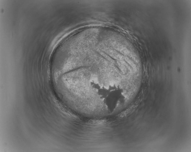 X0000069380247200606091658