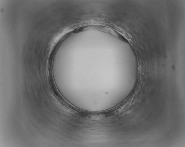 X0000069380248200606091658