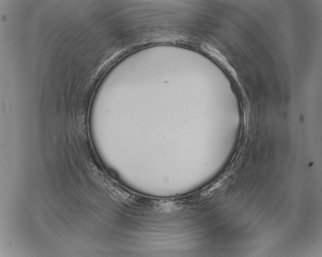 X0000069380249200606091658