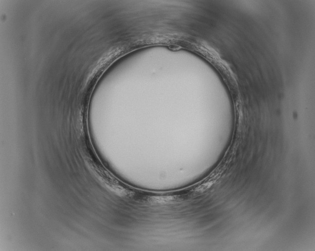 X0000069380250200606091658