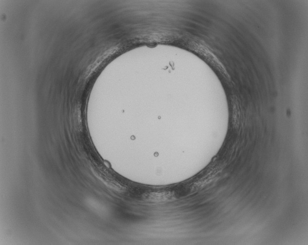 X0000069380251200606091658