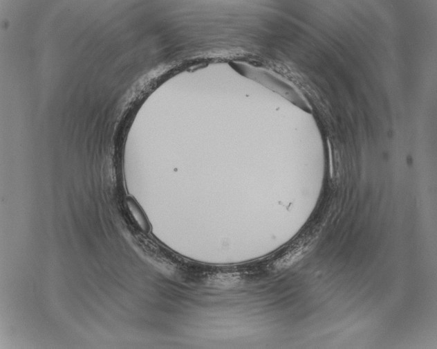 X0000069380252200606091658