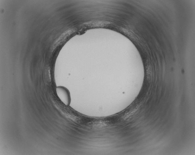 X0000069380254200606091658