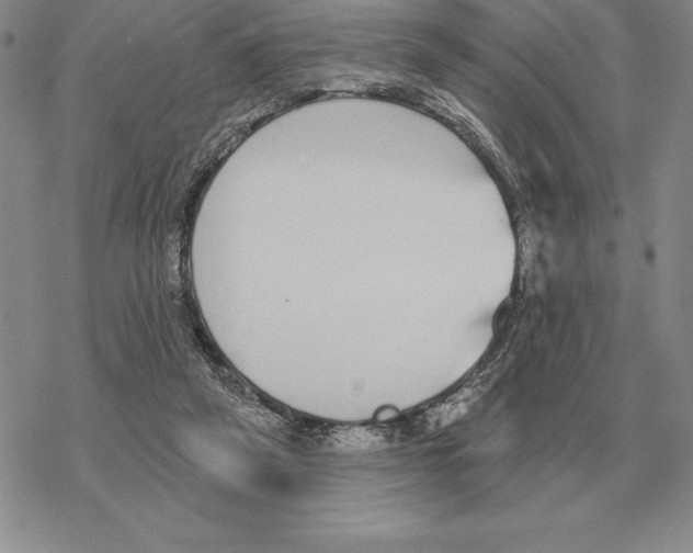 X0000069380257200606091658