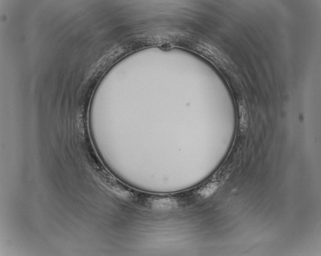 X0000069380258200606091658