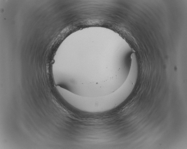 X0000069380260200606091658