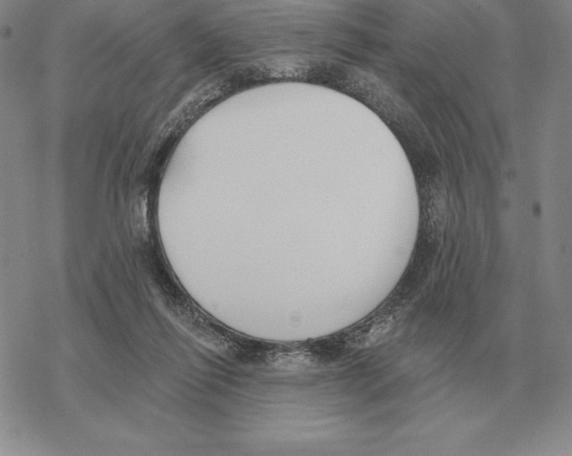 X0000069380262200606091658