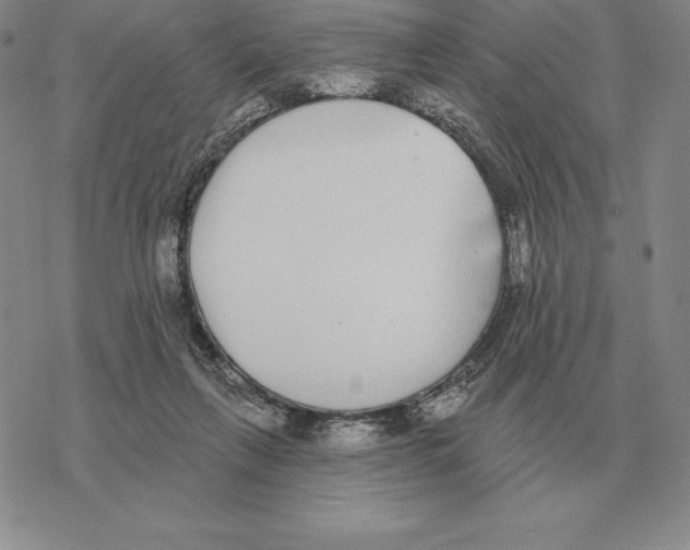 X0000069380263200606091658