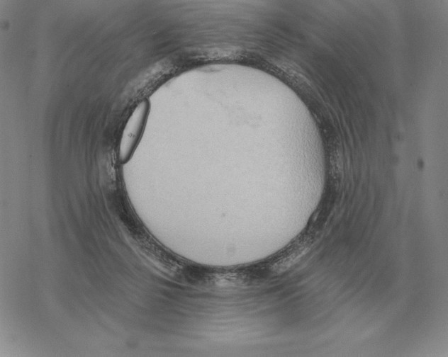 X0000069380264200606091658