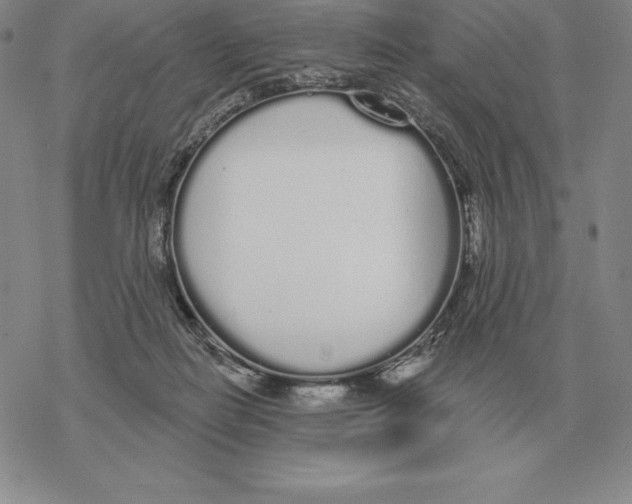 X0000069380266200606091658