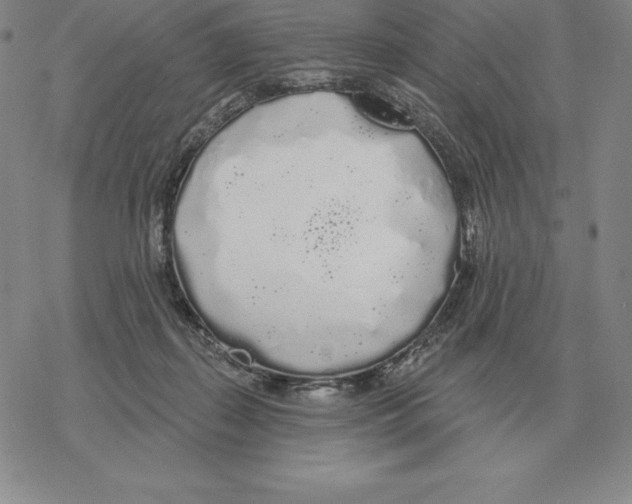 X0000069380267200606091658