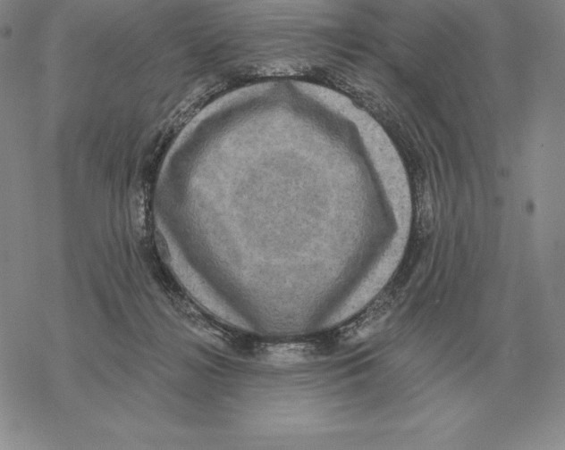 X0000069380268200606091658