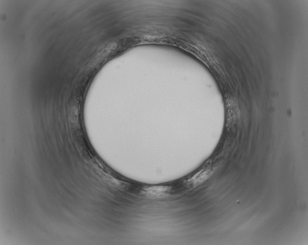 X0000069380269200606091658