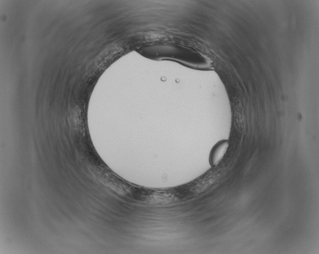 X0000069380270200606091658