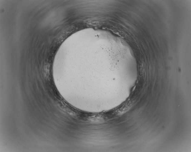 X0000069380271200606091658