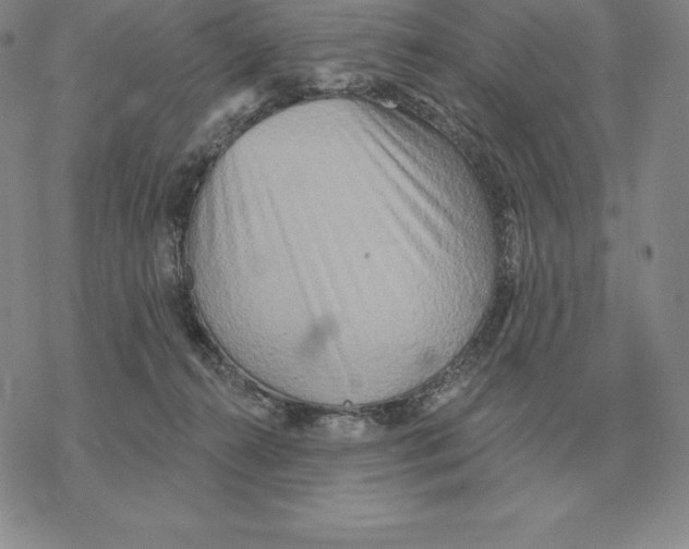 X0000069380272200606091658