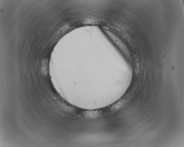 X0000069380273200606091658