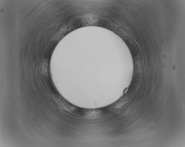 X0000069380274200606091658