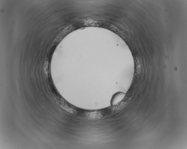 X0000069380275200606091658