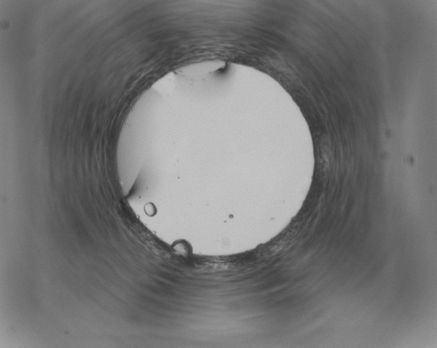 X0000069380276200606091658