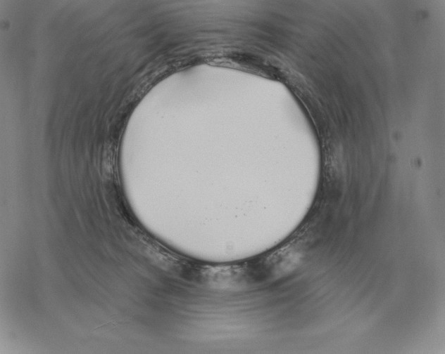 X0000069380277200606091658