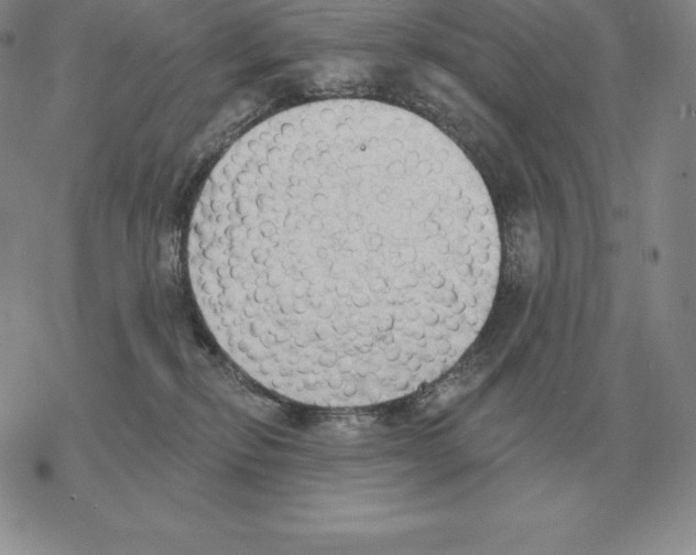 X0000069380278200606091658