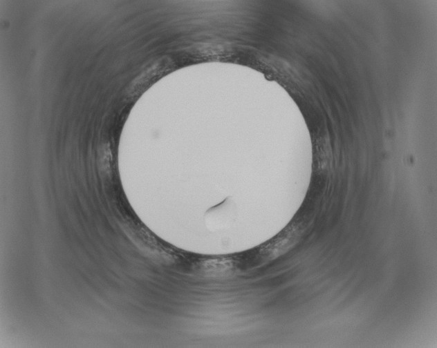 X0000069380279200606091658