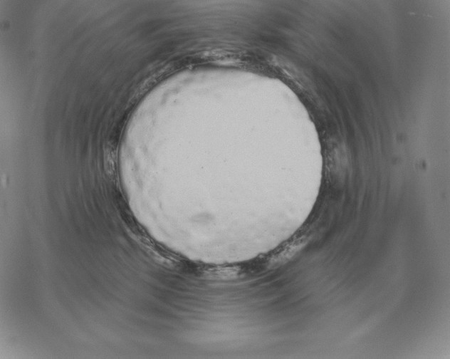 X0000069380281200606091658