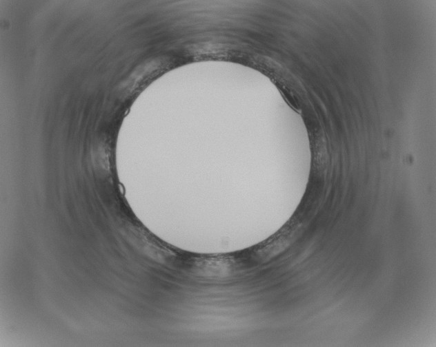 X0000069380282200606091658