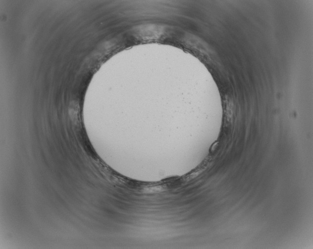 X0000069380283200606091658